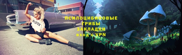 a pvp Алзамай