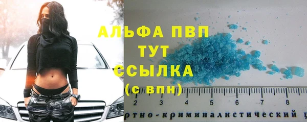 a pvp Алзамай