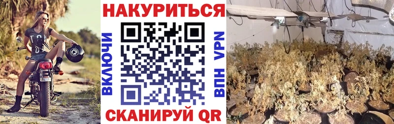 Конопля план Аксай